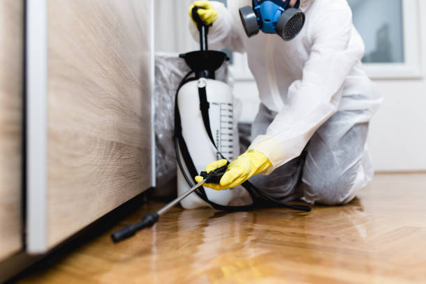Professional Pest Control in Wakefield, KS