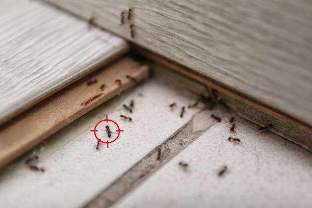 Pest Control for Restaurants in Wakefield, KS