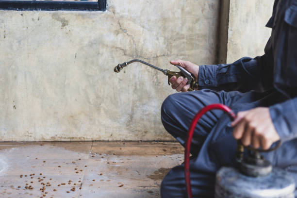 Best Best Pest Control Companies  in Wakefield, KS